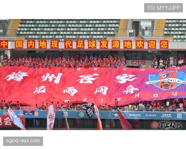 荷甲赛季盛大开幕，球迷热情点燃球场氛围