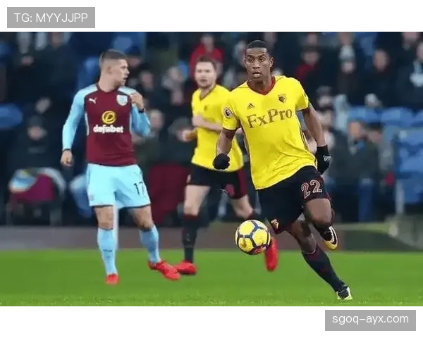 斯托克城伤病潮加剧,阵容深度告急 斯托克城伤病潮加剧,阵容深度告急