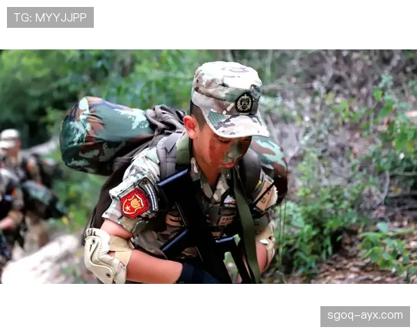 斯洛伐克鹰军团蓄势待发，2024国际赛季表现备受瞩目