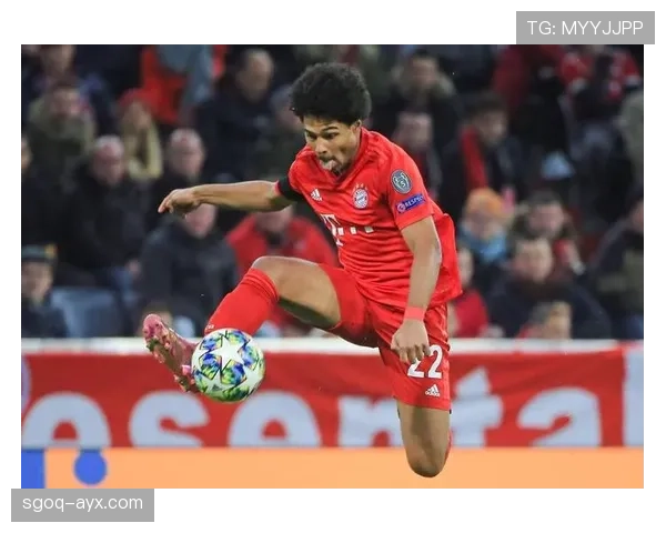 格纳布里进攻多样性